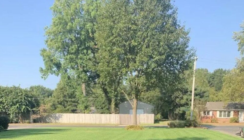 5 Ways SPRAYE Lawn Care Software Simplifies Chemical Tracking