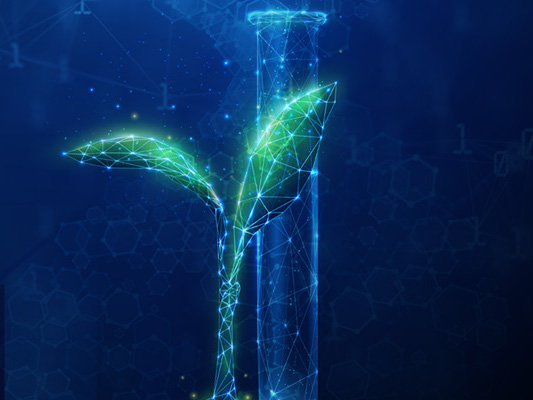 Enhancing Turf with Wetting Agents: A Comprehensive Guide