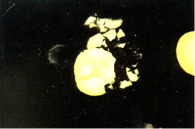 Sulfur Coated Fertilizer