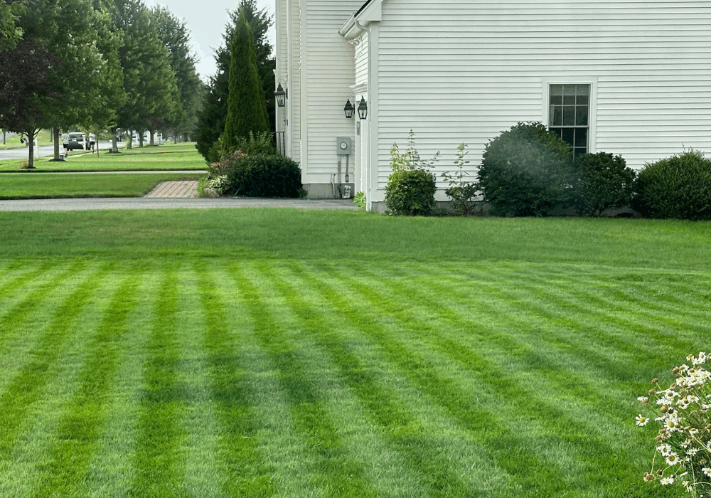 Fall Fertilizer Boost for Your Lawn