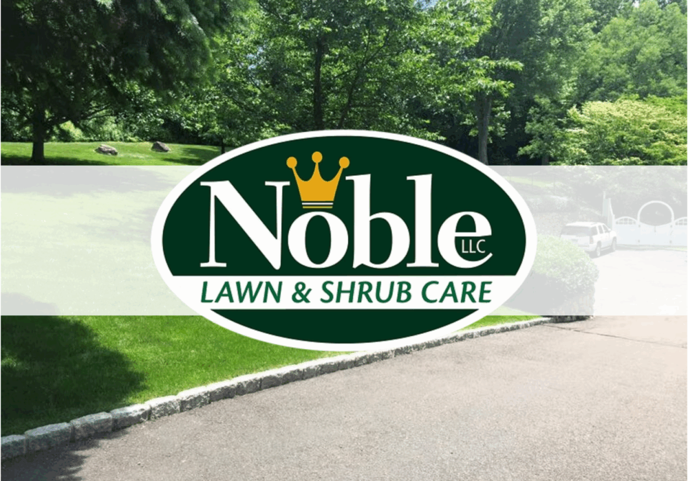 Case Study: Noble Lawn & Shrub Care