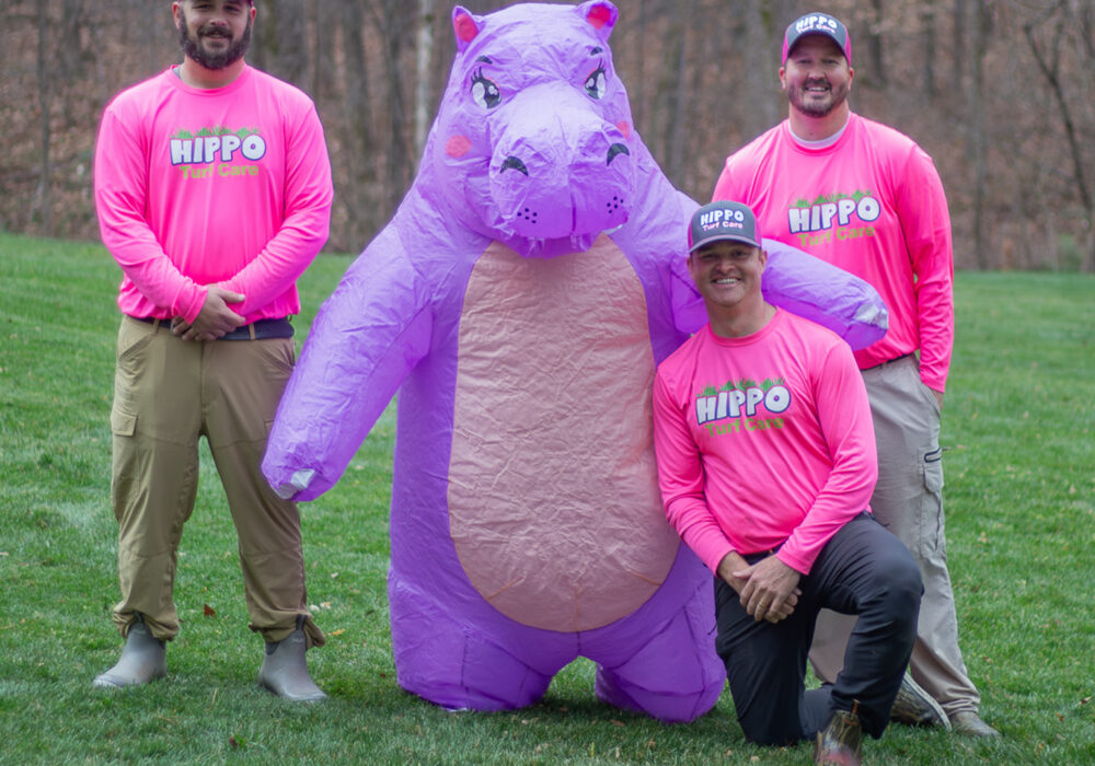 Case Study: Hippo Turf Care